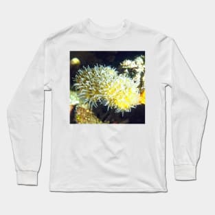 Star Coral Long Sleeve T-Shirt